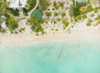 A beach with palm trees and a blue ocean