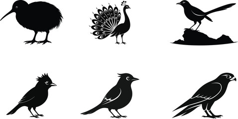 Bird Silhouette Vector Icon Collection Bundle Set – Black Wildlife Clipart,Kiwi Bird,dove Bird vector illustration.