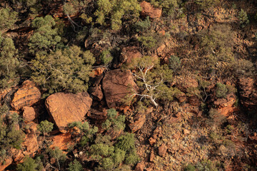 Aerial views of the landscape surrounding Kings Canyon, Watarrka National Park - Northern Territory.	