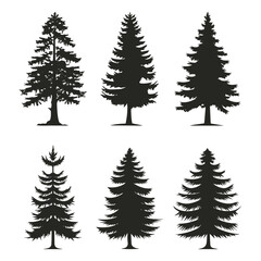 Set of pine tree silhouette vector clipart