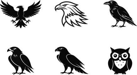 Bird Silhouette Vector Icon Collection Bundle Set – Black Wildlife Clipart,Kiwi Bird,dove Bird vector illustration.