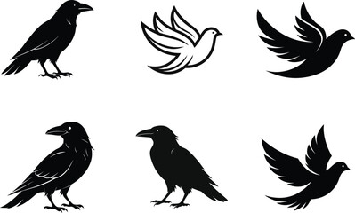 Bird Silhouette Vector Icon Collection Bundle Set – Black Wildlife Clipart,Kiwi Bird,dove Bird vector illustration.