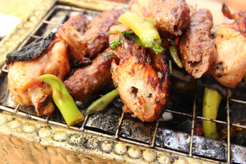 Grilled Arabic-style chicken and beef served hot in a Cairo restaurant, Egypt