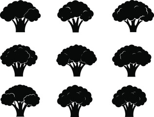 Broccoli Silhouette Icon Eps Set , Black Vegetable Vector Clipart, Broccoli Brassica Oleracea.