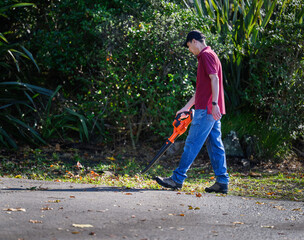 Man cleaning fallen autumn leaves using a leaf blower along the driveway.