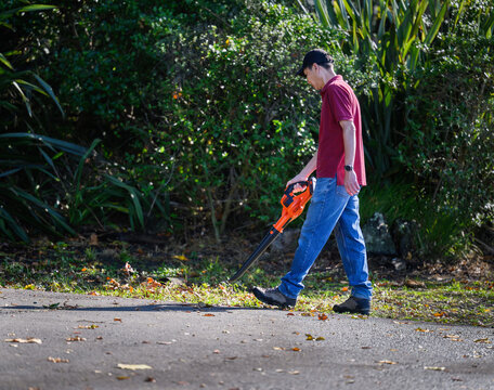 Man cleaning fallen autumn leaves using a leaf blower along the driveway. - Powered by Adobe