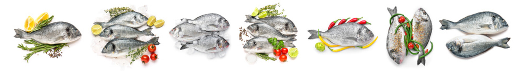 Set of fresh dorado fish on white background, top view