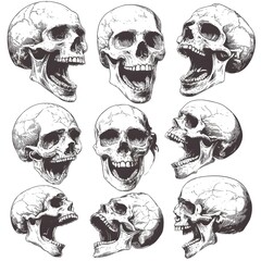 Fototapeta premium Creative set featuring a wide range of artistic skull illustrations for design projects