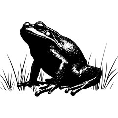 Naklejka premium Monochrome Frog in Grass: A Striking Black and White Wildlife Illustration