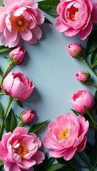 Fototapeta premium Beautiful arrangement of fresh pink peonies in a border style, elegant, garden, summer
