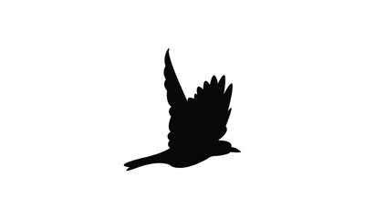 Flying African golden oriole bird Silhouette Design  And Vector Illustration. 
