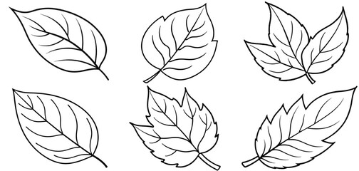 Leaf Outline Coloring Page Printable Line Art Drawing