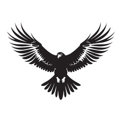 Obraz premium Flying hawk silhouette on white vector clipart