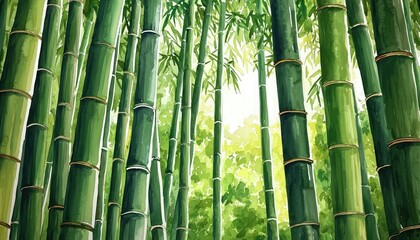 Obraz premium A serene bamboo forest with tall, green stalks reaching towards a bright, diffused light filtering through the foliage.