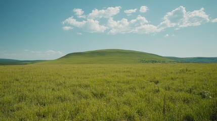 Fototapeta premium Sunny day, grassy field, rolling hills, clear sky, pastoral landscape, nature background, travel photography