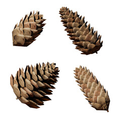 pine cones isolated on white background