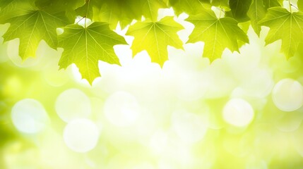 Naklejka premium Bright Green Maple Leaves Background