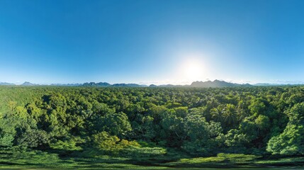 Aerial view lush green rainforest, mountains, bright sun, panoramic nature scene