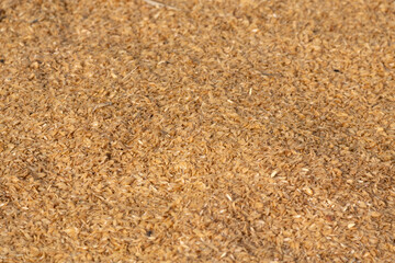Piled up rice husks