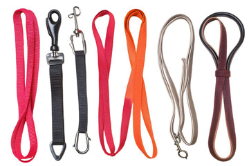 Colorful Dog Leashes for a Fun Walk