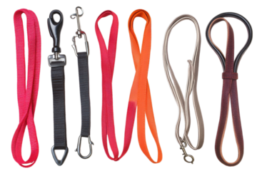 Colorful Dog Leashes for a Fun Walk