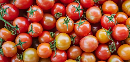 Closeup and crop heap of small tomato fit on screen background