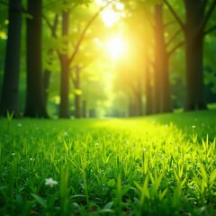 Lush green meadow under golden sun rays, vibrant spring background, fresh, meadow