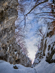 Gran Sasso: Il bosco secolare di Aschiero e la Città di Pietra , Prati di Tivo (TE)