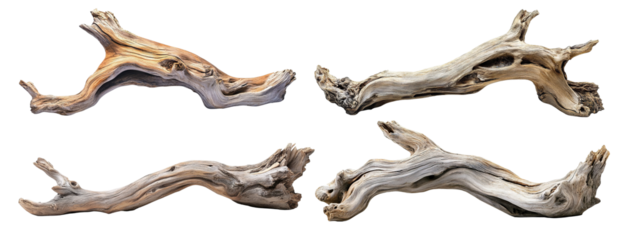 Set of driftwood branches, isolated on transparent cutout background
