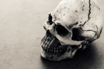 skull of the dead