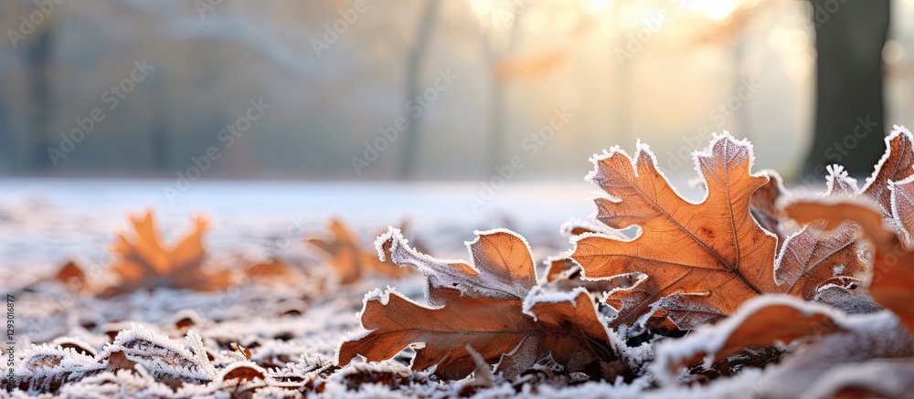 Aufkleber frosted oak leaves in warm amber tones with a soft-focus background of frosty ground and trees in co