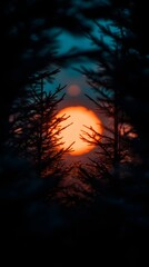 Sun setting through trees at night