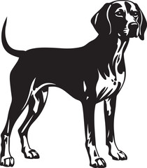 American Foxhound Silhouette Vector Illustration White Background