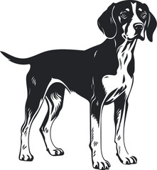 American Foxhound Silhouette Vector Illustration White Background