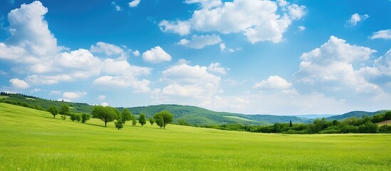 Obraz premium Vibrant green grassy glade with scattered trees under a bright blue sky filled with fluffy white clouds in tranquil mountain park landscape