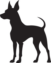 American Hairless Terrier Silhouette Vector Illustration White Background