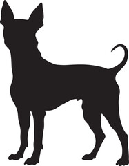 American Hairless Terrier Silhouette Vector Illustration White Background