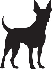 American Hairless Terrier Silhouette Vector Illustration White Background