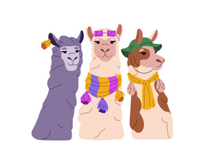 Happy dressed group of funny llamas. Fluffy characters, alpacas wear fashion clothes. Mexican lamas' heads with sunglasses, scarfs, panama hat. Flat isolated vector illustration on white background