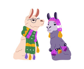 Cute Mexican llamas wear stylish knitted clothes. Happy characters of lama are in fashion wool scarf, hat. Trendy alpacas are dressed together. Flat isolated vector illustration on white background