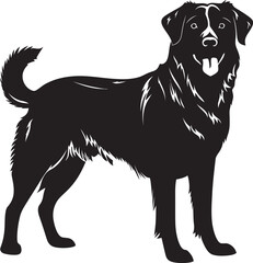 Anatolian Shepherd Silhouette Vector Illustration White Background