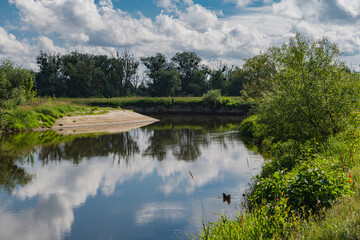 Natural landscape with a valley of Bug river in lubelskie voivodeship in Poland