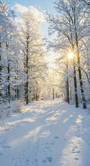 winter landscape with trees