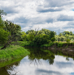 Fototapeta premium Natural landscape with a valley of Bug river in lubelskie voivodeship in Poland