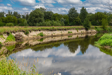 landscape with erosion on a fragment of the bank of  Bug river in lubelskie voivodship, poland