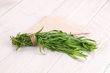 Green estragon branches for cooking
