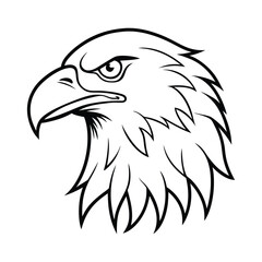 eagle head vector illustration