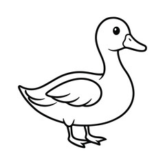 illustration of a white duck
