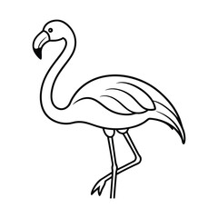 vector illustration of flamingo