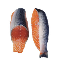 Fresh salmon duo in artistic highkey studio composition